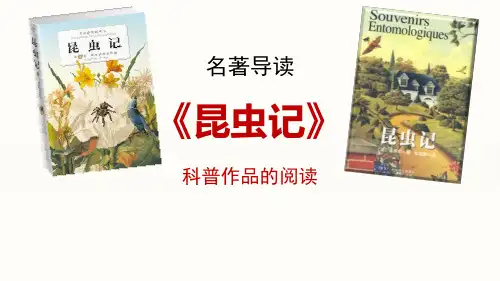 《昆虫记》PPT教学课件