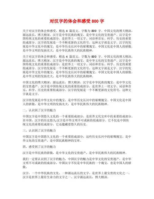 对汉字的体会和感受800字