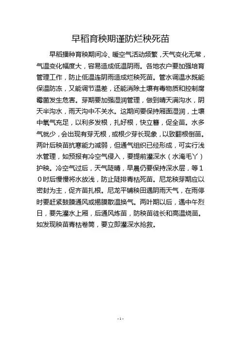 早稻育秧期谨防烂秧死苗