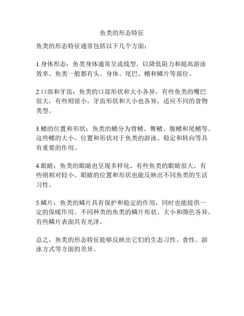 鱼类的形态特征