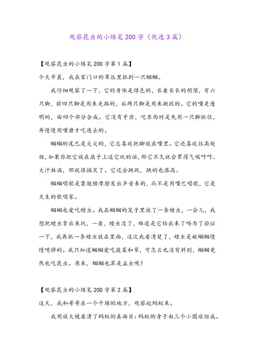 观察昆虫的小练笔200字(优选3篇)