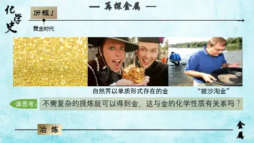 金属的复习课.pptx