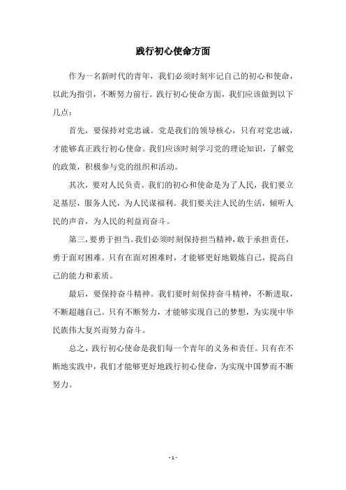 践行初心使命方面