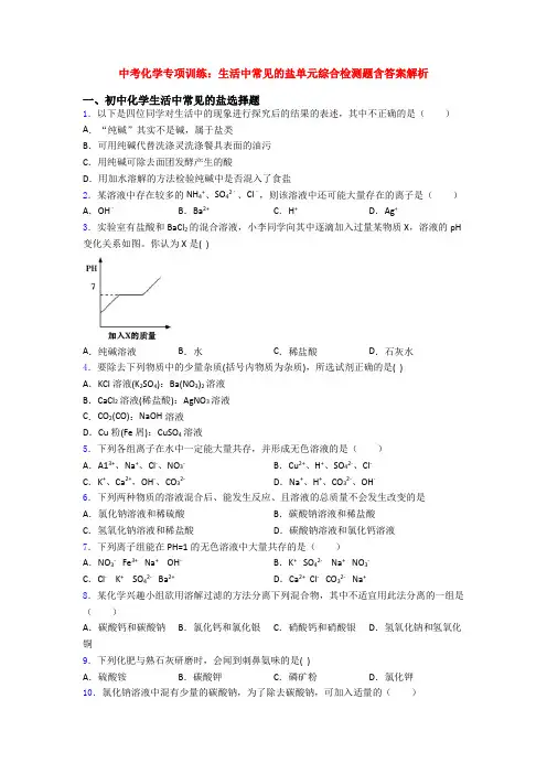 中考化学专项训练：生活中常见的盐单元综合检测题含答案解析