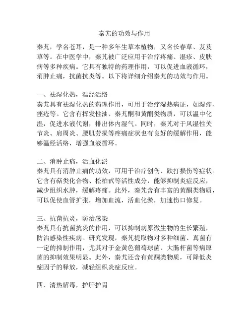秦艽的功效与作用