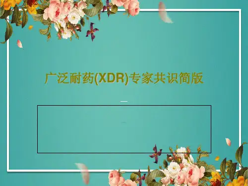广泛耐药(XDR)专家共识简版PPT40页