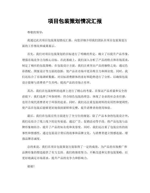 项目包装策划情况汇报