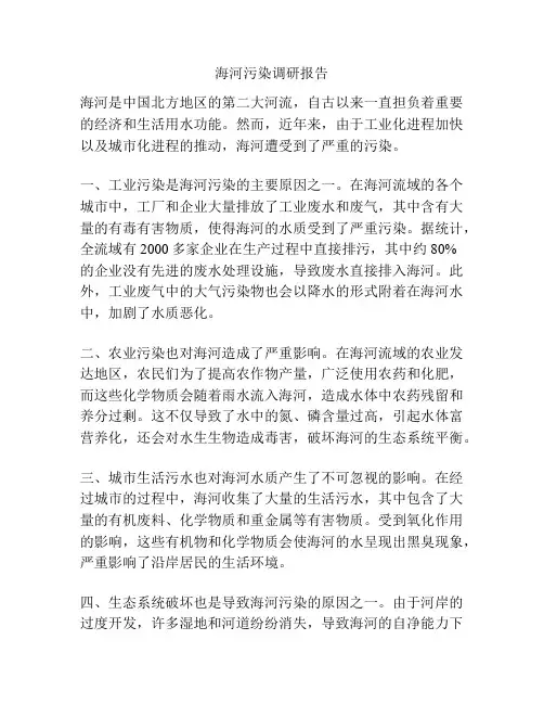 海河污染调研报告