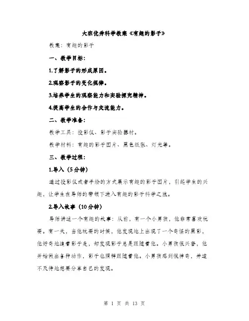 大班优秀科学教案《有趣的影子》（4篇）