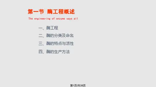 酶工程概述PPT课件