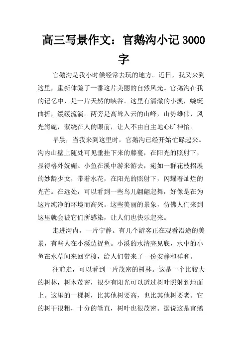 高三写景作文：官鹅沟小记3000字