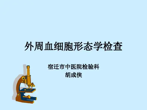 外周血细胞形态的观察