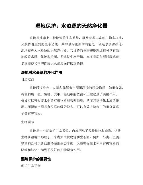 湿地保护：水资源的天然净化器