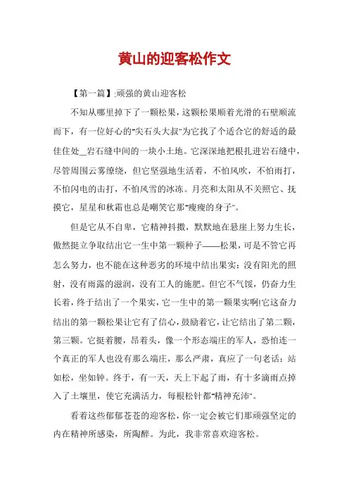 黄山的迎客松作文