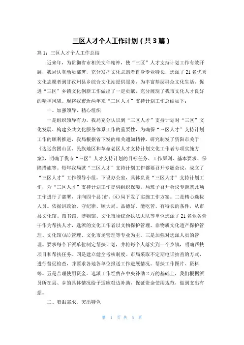 三区人才个人工作计划(共3篇)