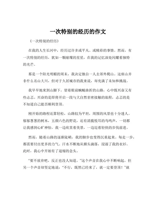 一次特别的经历的作文