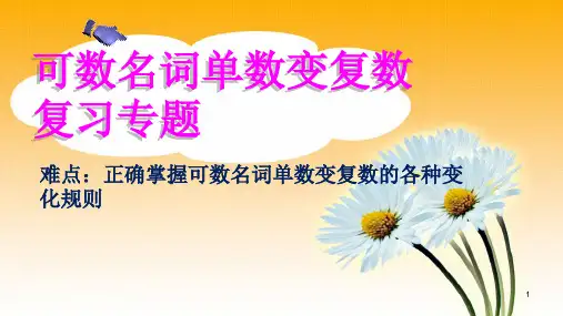 人教版九年级英语中考复习专题  可数名词单数变复数复习专题