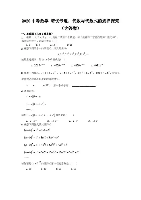 2020年中考数学代数与代数式的规律探究(附答案)