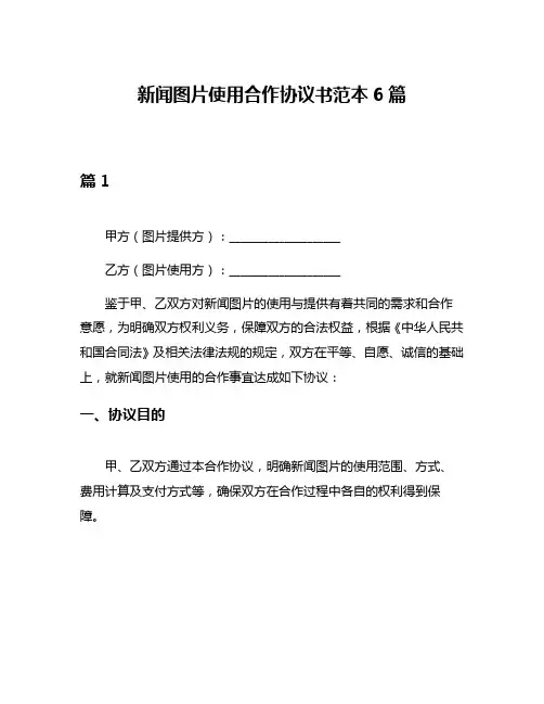 新闻图片使用合作协议书范本6篇