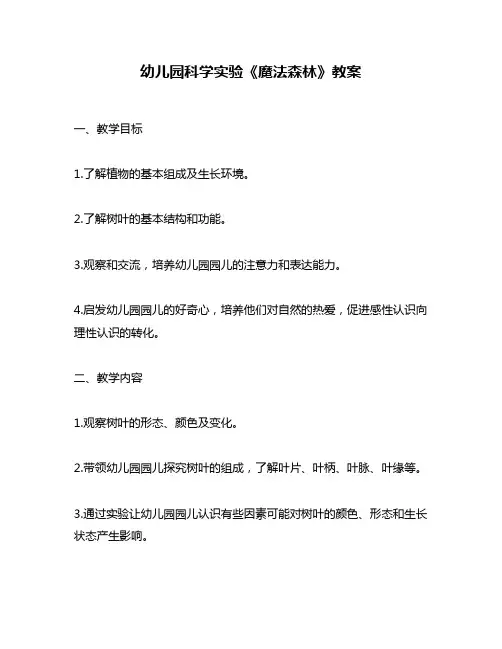 幼儿园科学实验《魔法森林》教案