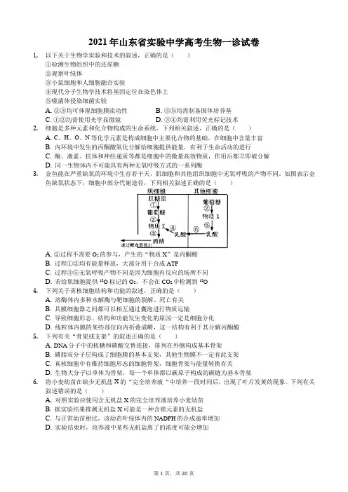 2021年山东省实验中学高考生物一诊试卷