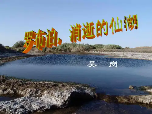 罗布泊消逝的仙湖(公开课)PPT课件