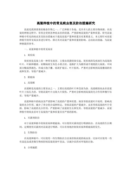 高粱种植中的常见病虫害及防治措施研究
