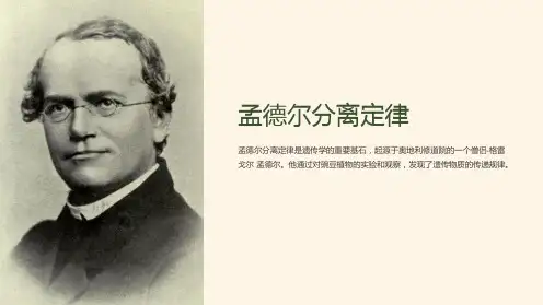 孟德尔分离定律