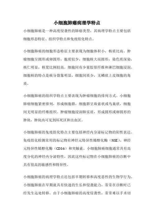 小细胞肺癌病理学特点