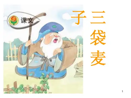 三袋麦子ppt课件
