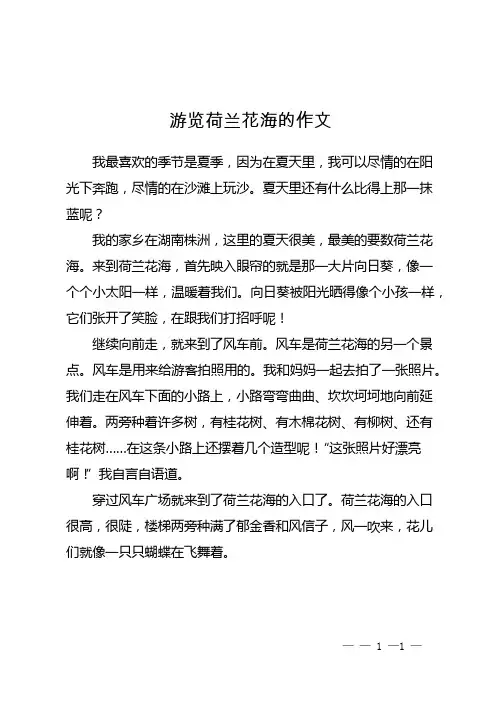 游览荷兰花海的作文