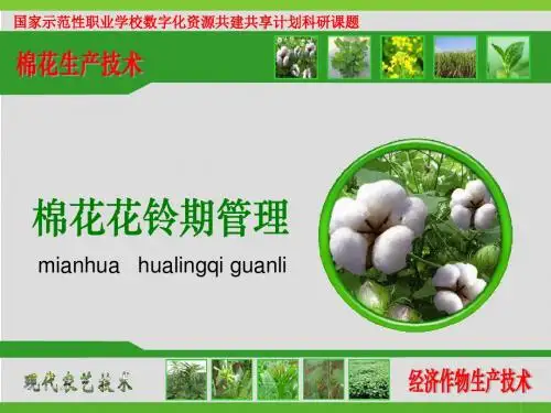 经济作物生产技术