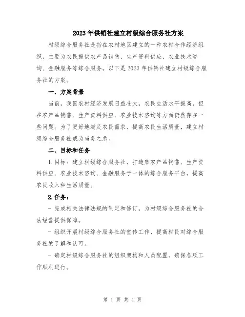 2023年供销社建立村级综合服务社方案