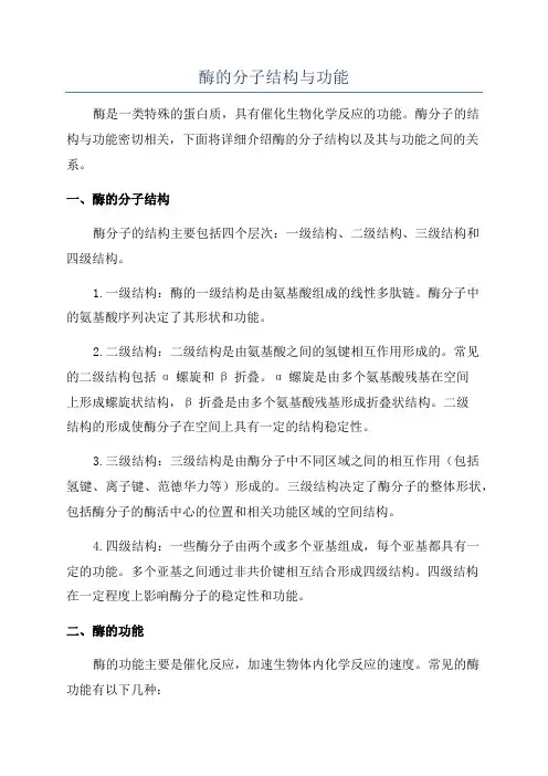 酶的分子结构与功能