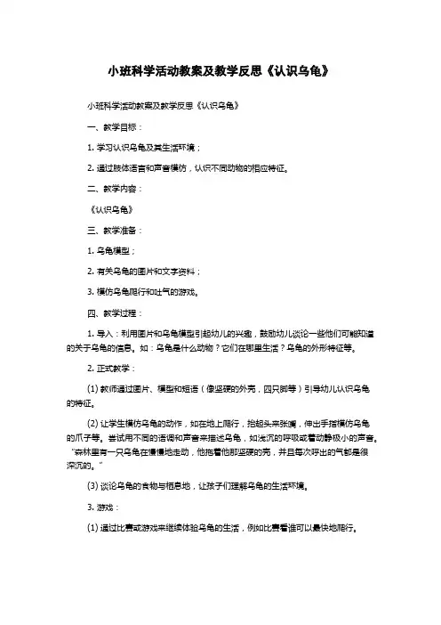 小班科学活动教案及教学反思《认识乌龟》