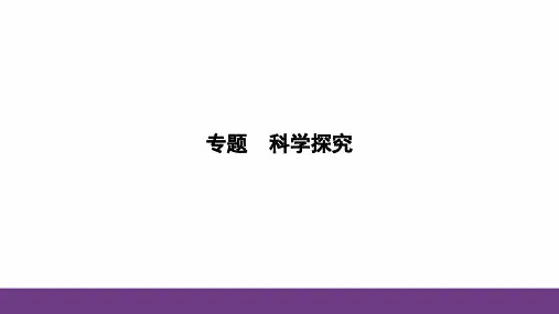 2024年中考化学(鲁教版)专题复习：科学探究