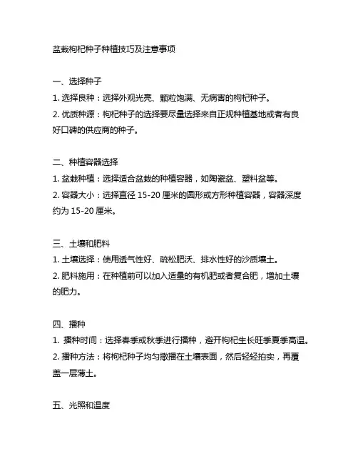 盆栽枸杞种子种植技巧及注意事项