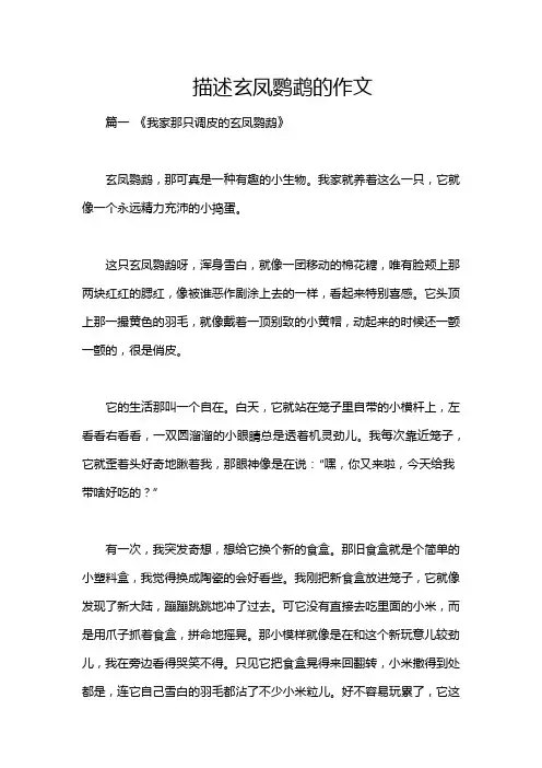 描述玄凤鹦鹉的作文