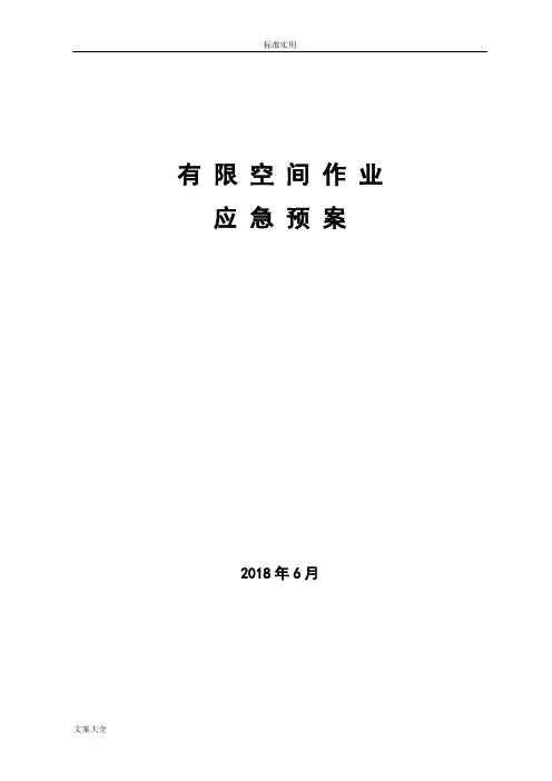 有限空间应急预案