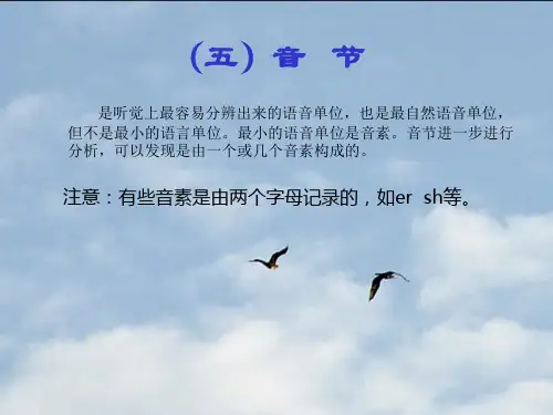现代汉语音节ppt