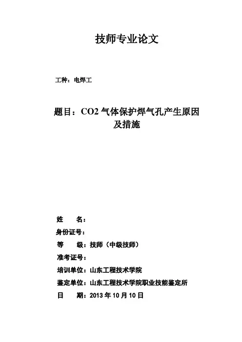 金蓝领论文-