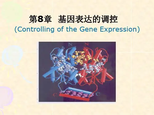 分子生物学课件