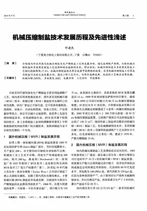 机械压缩制盐技术发展历程及先进性浅述