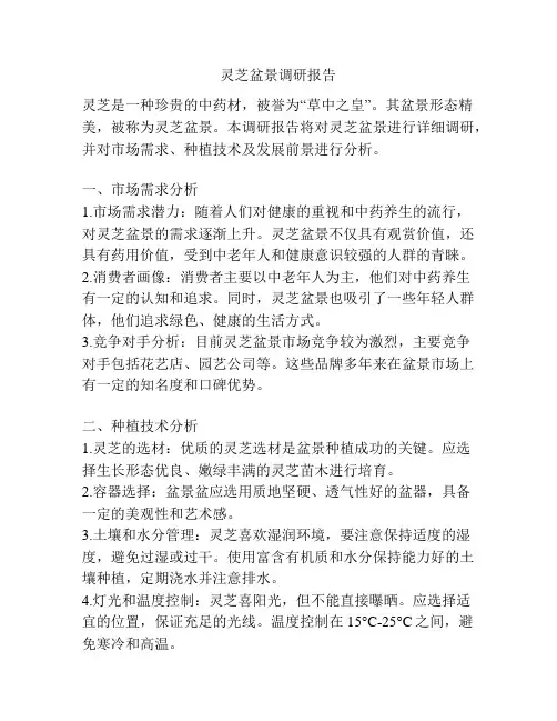灵芝盆景调研报告