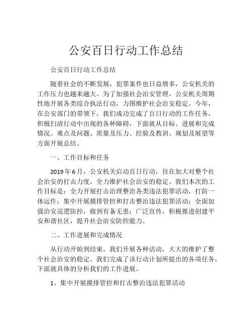 公安百日行动工作总结