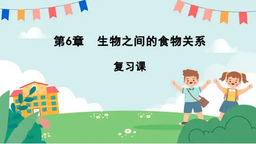 第6章 生物之间的食物关系(章末复习课件)七年级生物上册(苏科版)