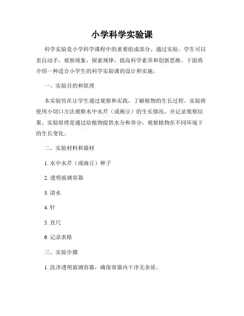 小学科学实验课