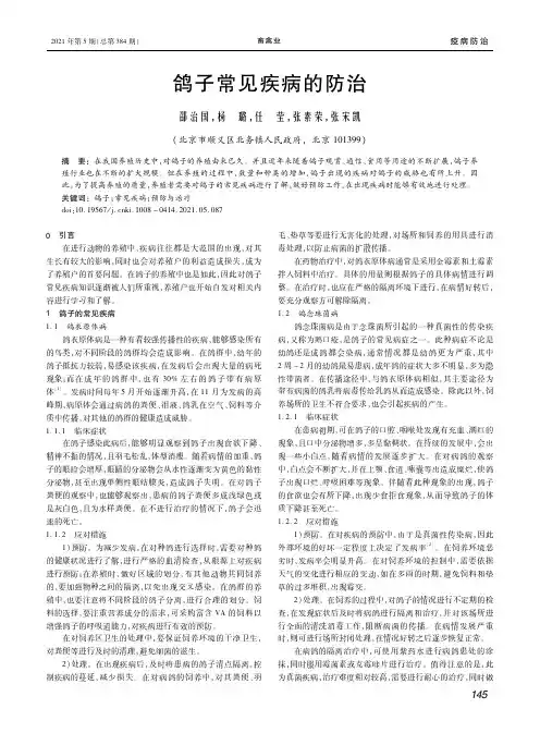 鸽子常见疾病的防治