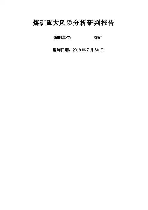 煤矿重大风险分析研判报告