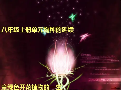绿色开花植物的一生PPT课件